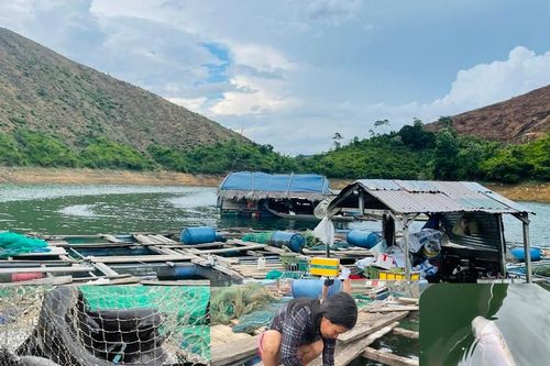 Quảng Ngãi: Trợ lực cho nuôi thủy sản trong lòng hồ chứa nước