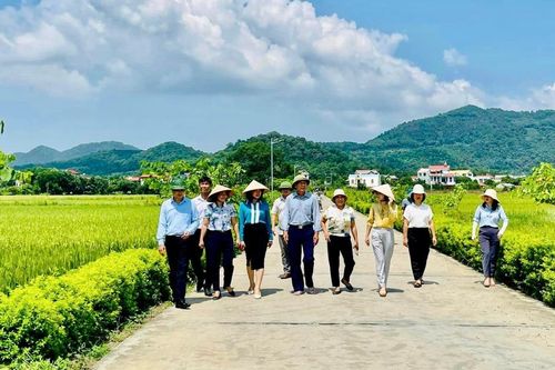 Huyện Sóc Sơn phấn đấu đưa 3 xã về đích nông thôn mới kiểu mẫu