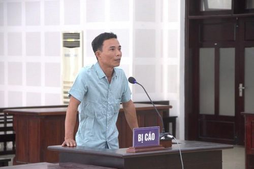 Đà Nẵng: Lãnh án tù vì khai thác đất trái phép