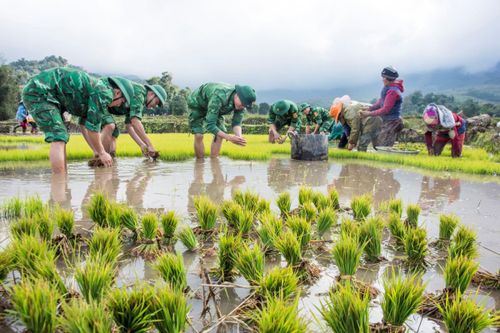 Ngày hội ra đồng của bà con Bru - Vân Kiều