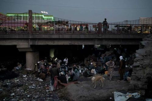 Afghanistan là quốc gia sản xuất methamphetamine tăng trưởng nhanh nhất