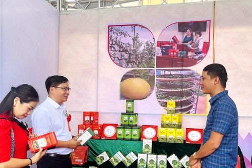 Nhịp sống kinh tế số