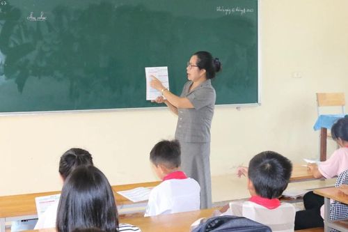Năm học mới, trường học 'đỏ mắt' tuyển dụng giáo viên hợp đồng