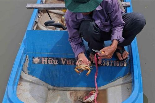 Phát triển Cà Mau trở thành trung tâm kinh tế biển bền vững