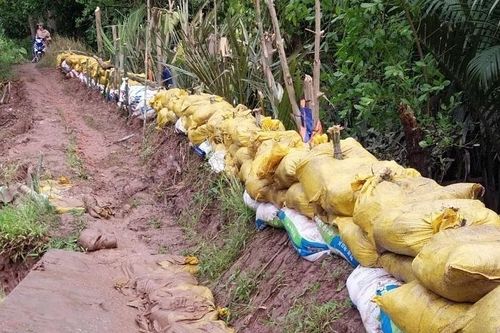 Trà Vinh: Công bố tình huống khẩn cấp sự cố sạt lở bờ sông khu vực cù lao Long Trị
