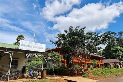 Kiến nghị xử lý nhiều vi phạm tại Công ty Lâm nghiệp Nam Tây Nguyên