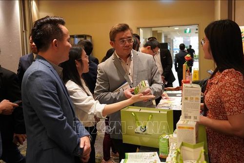 Kết nối tỉnh Thái Bình với các đối tác Australia