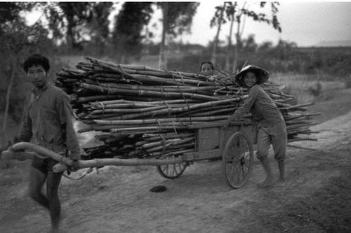 16 bức ảnh hiếm về cuộc sống nông thôn Việt Nam năm 1993 mà bạn không thể bỏ qua