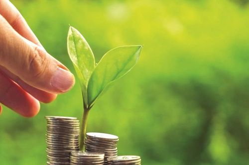 Tài chính xanh và thị trường tín chỉ Carbon: Tất cả đã sẵn sàng, chỉ chờ khung pháp lý