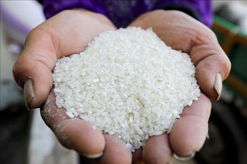 Bộ Tài chính Philippines đề xuất giảm thuế nhập khẩu để hạ giá gạo trong nước
