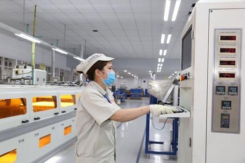 Rạng Đông Holding phát hành cổ phiếu riêng lẻ để tăng vốn điều lệ