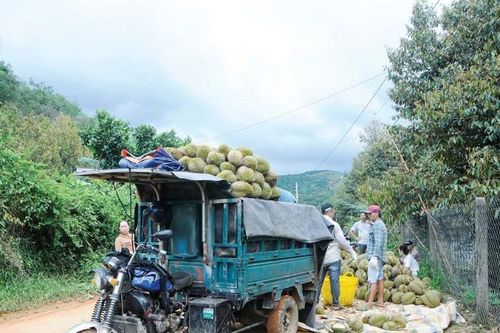 Cao nguyên mọi ngả bao la 'sầu'