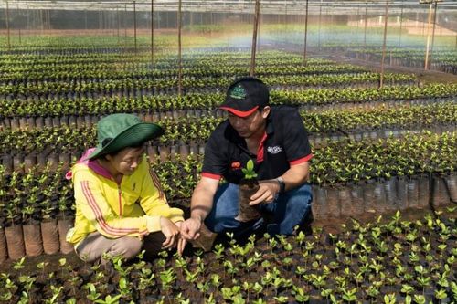 Nestlé - thương hiệu thực phẩm bền vững trên toàn cầu
