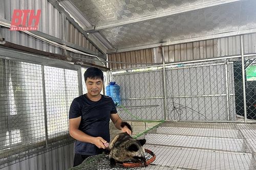 Triệu Sơn nhân rộng mô hình con nuôi đặc sản