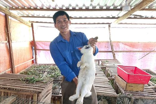 Anh Nguyễn Văn Đặng khởi nghiệp thành công với nghề nuôi thỏ