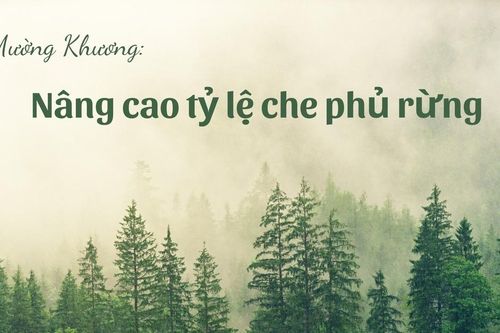 Mường Khương nâng cao tỷ lệ che phủ rừng
