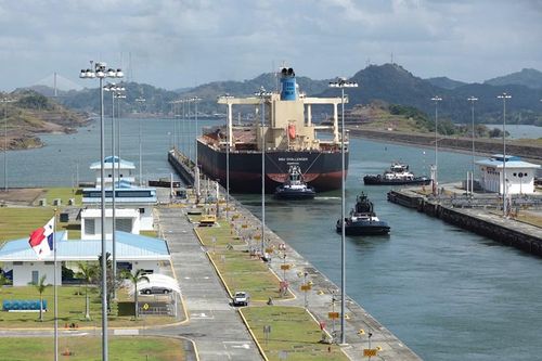 Nắng nóng cực đoan nhanh chóng trở thành mối đe dọa với an ninh nhiên liệu