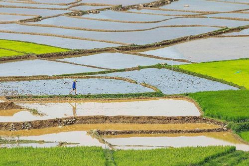 Đảm bảo nước gieo cấy vụ Đông Xuân và cung cấp điện mùa khô 2024