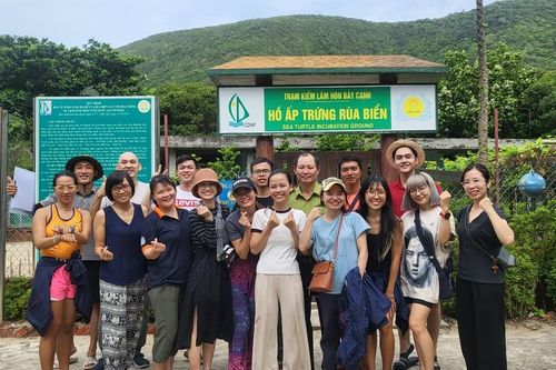 Chung tay bảo tồn rùa biển