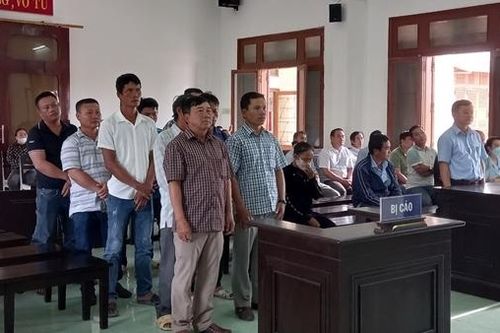 Xét xử vụ phá rừng tại Phú Yên: 5 án tù giam và 5 án treo