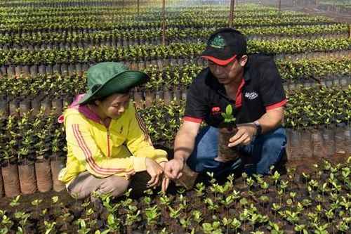 Phát triển bền vững nhờ thực hiện các cam kết về môi trường