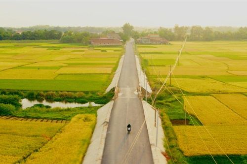'Giao lộ 8675' tung trailer mới nhất: Chuyến du ngoạn mãn nhãn với cảnh đẹp Việt Nam