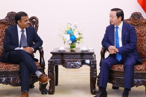 Thúc đẩy hình thành 'hệ sinh thái' hàng tiêu dùng xuất khẩu bền vững