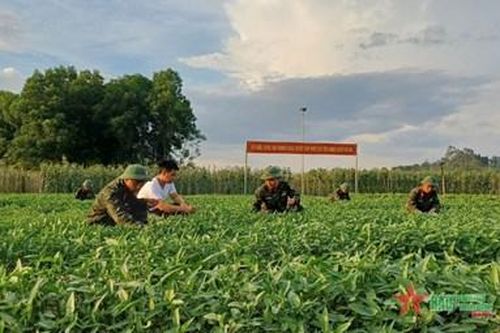 Trung đoàn 148 xây dựng đơn vị nuôi quân giỏi, quản lý quân nhu tốt