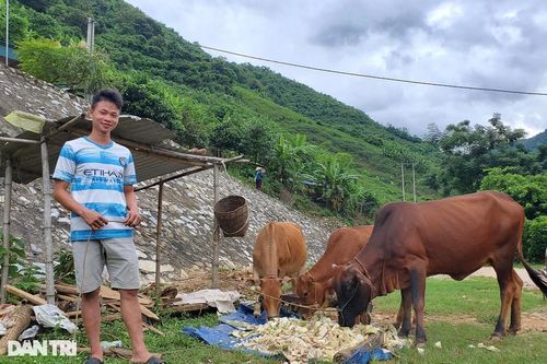 Bí quyết người dân 'đổi đời' sau trận lũ lịch sử, lãi trăm triệu