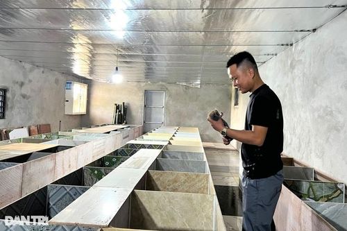 Kỹ sư 9X nuôi loài 'ăn đêm ngủ ngày', mỗi năm lãi 200 triệu đồng