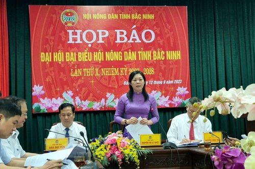 Xây dựng tỉnh Bắc Ninh sớm trở thành đô thị loại I, thành phố trực thuộc Trung ương