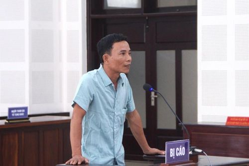 Khai thác đất 'lậu' để tạo mối quan hệ, người đàn ông ở Đà Nẵng lĩnh án