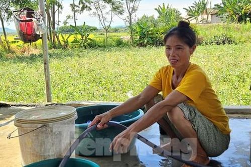 Nhà máy cắt nước luân phiên để 'chờ mưa', hàng nghìn hộ dân lo thiếu nước