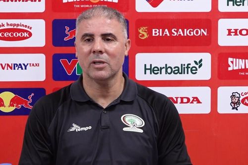 Thua đội tuyển Việt Nam 0-2, HLV Palestine 'trách' thời tiết