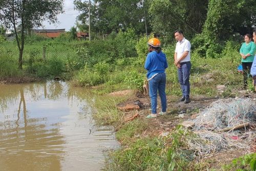 Hai bé trai tử vong dưới ao nước ở TP.HCM