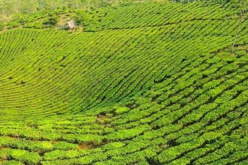 Loạt giải pháp hiện thực hóa chiến lược tăng trưởng xanh tại Việt Nam