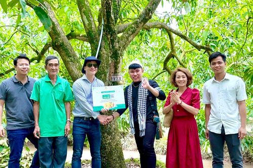 Đồng Tháp: Mô hình 'Cây xoài nhà tôi' được kích hoạt trên nền tảng số