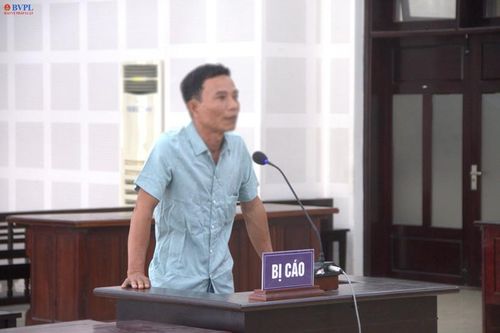 Khai thác đất trái phép, lãnh án 18 tháng tù