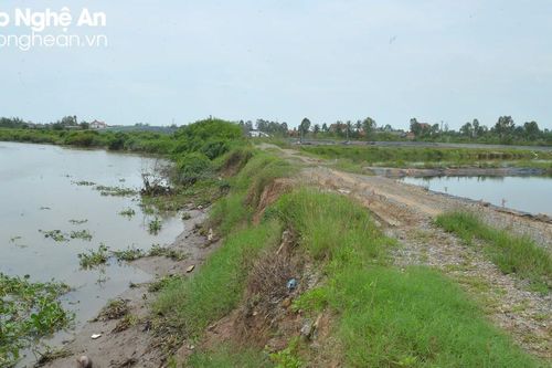 Thấp thỏm nỗi lo từ những tuyến đê xuống cấp
