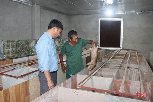 Nhiều mô hình chăn nuôi 'độc, lạ' của nông dân Cẩm Xuyên