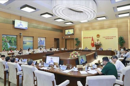 Thông tin phá rừng dự án hồ chứa nước Ka Pét là không chính xác, không đúng sự thật