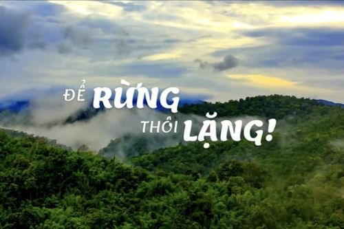 Phát hành video 'Để rừng thôi lặng' kêu gọi bảo vệ động vật hoang dã