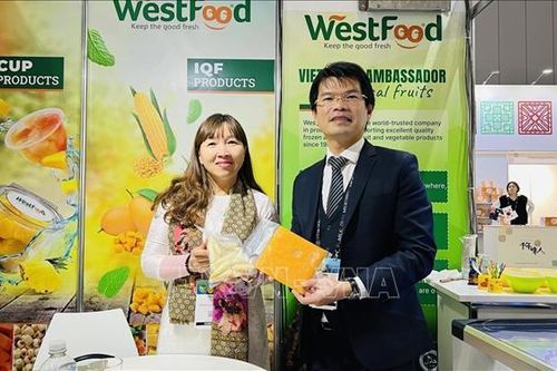 Thương vụ Việt Nam tại Australia lưu ý các nguy cơ về gian lận thương mại khi giao dịch quốc tế