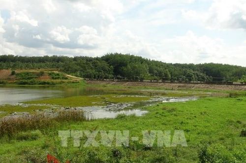 Bình Phước có 62 hồ đập tiềm ẩn nguy cơ mất an toàn