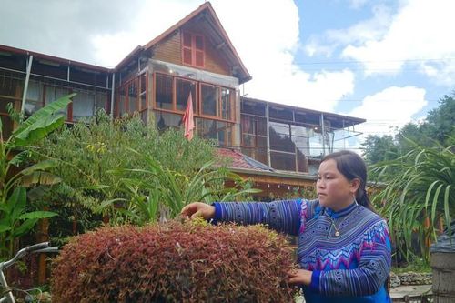 Từ nương ngô đến mô hình farmstay đầu tiên ở xã Lùng Phình