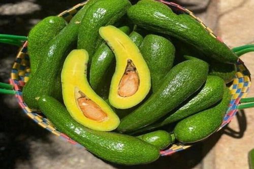Hà Nội hỗ trợ Lâm Đồng tiêu thụ nông sản, sản phẩm OCOP