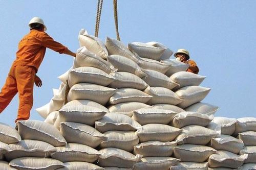 Indonesia sẽ mua 300.000 tấn gạo trắng 5% tấm