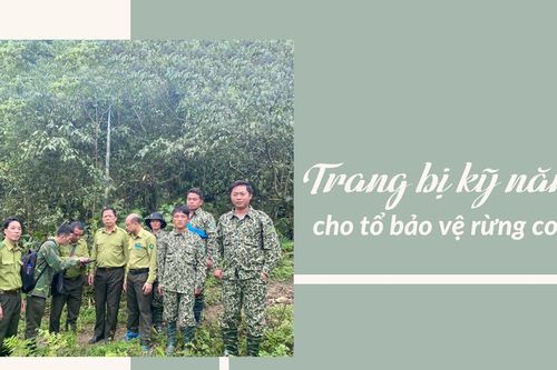 Trang bị kỹ năng cho tổ bảo vệ rừng cơ sở