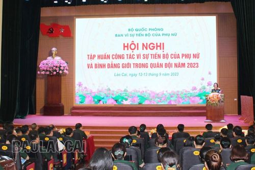 Bộ Quốc phòng tập huấn công tác vì sự tiến bộ của phụ nữ và bình đẳng giới trong quân đội