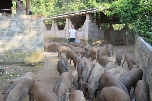 Gương sáng người cao tuổi ở Phúc Thuận